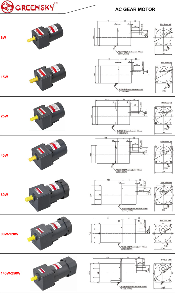 Hair Vacuum Cleaner High Torque AC Gearhead Motor AC Induction Gear Motor