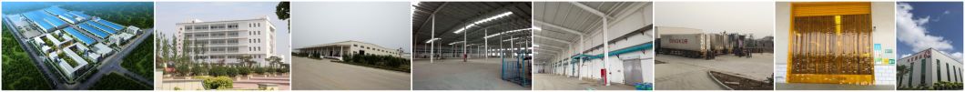 Our Factory Pictures Our Factory Pictures