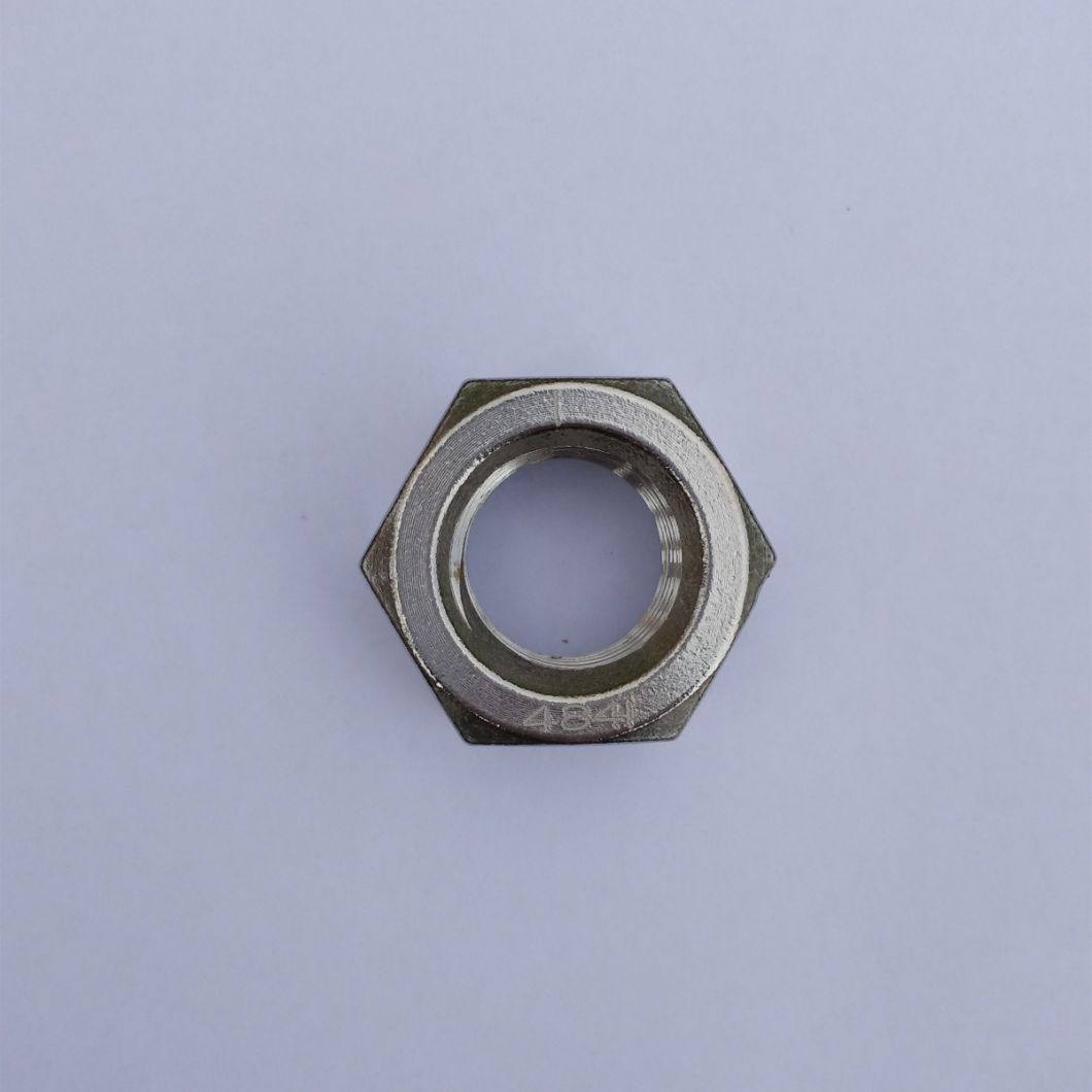 Stainless Steel 1.4841 Ss314 Hex Nut