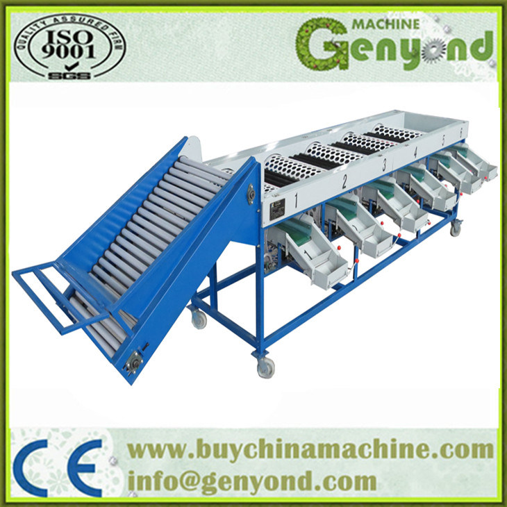 Special Design Apple Sorting Machine