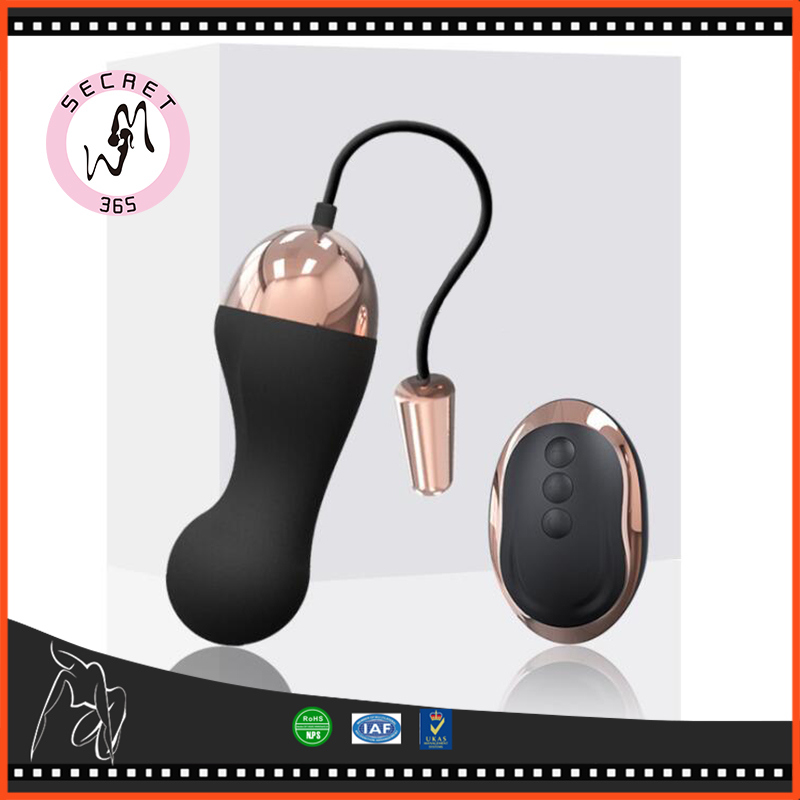 10 Speed USB Rechargeable Vibrating Eggs Wireless Remote Control Bullet Vibrator Love Egg Adult Sex Toys