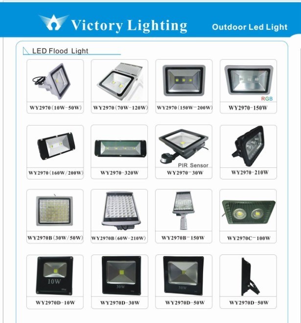 10W/20W/30W/50W/100W/150W/200W/320W IP65 LED Waterproof Outdoor LED Flood Light (COB)