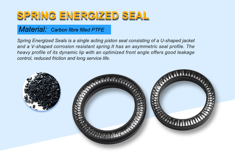 Gas Meter Spring Energized Seals with Professional Design