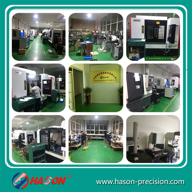 Hason Mold Precision Spare Parts for Auto Mould