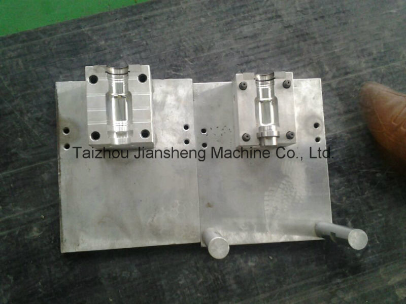 1cavity Mould by Automatic Blowing Mould Machine with CE