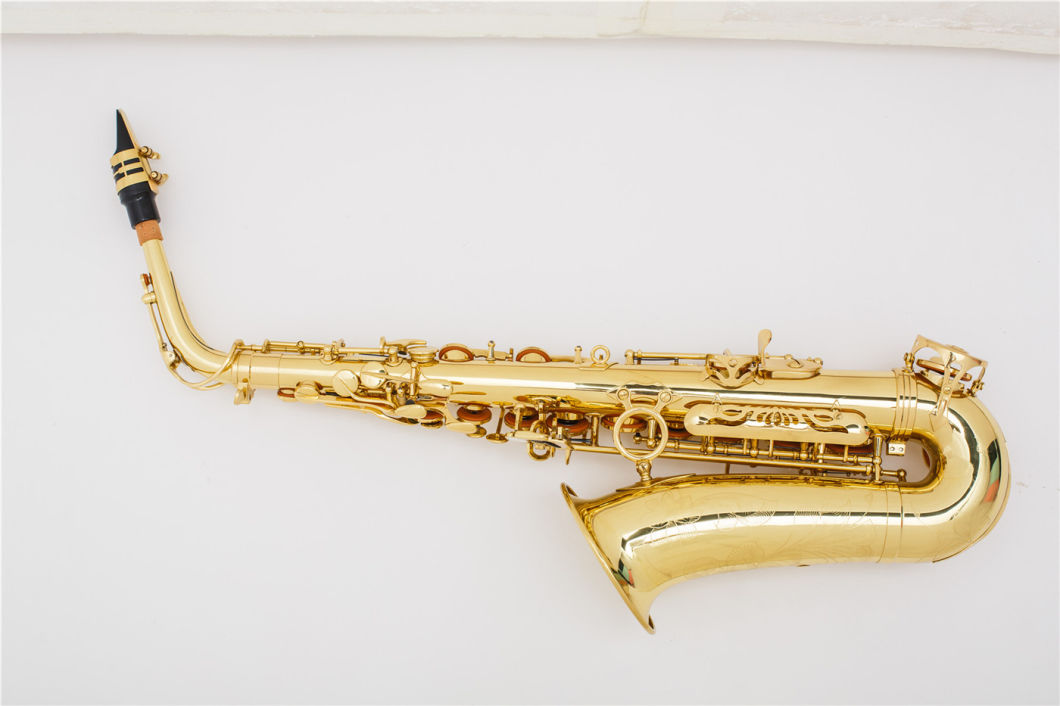 Best Quality Alto Saxophone Like Selmer, Electrophoresis