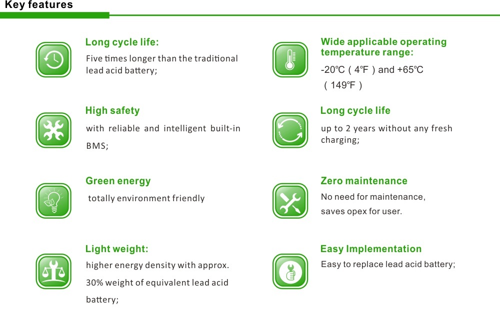 Everexceed Ldp Series UPS/Solar/Lighting/Telecom/ 12V30ah Lithium Iron Battery