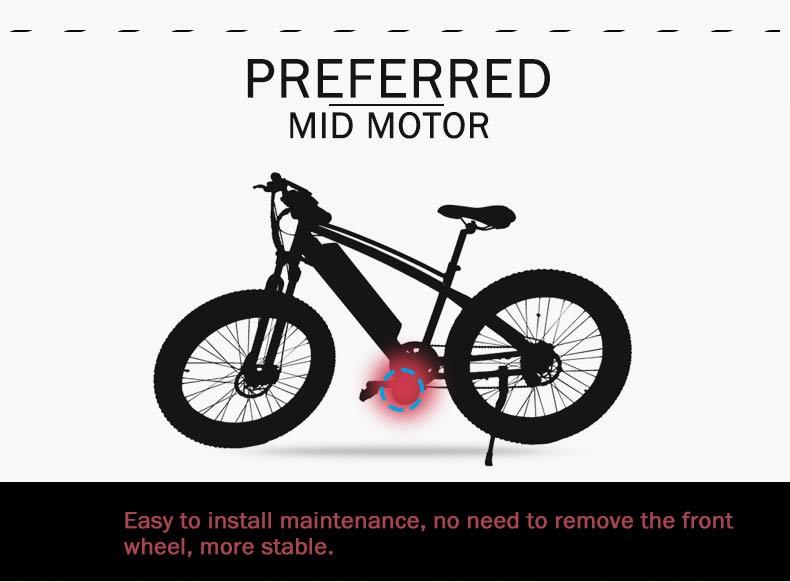 48V 750W/1000W BBS03 8fun Motor Ebike MID Motor Conversion Kit