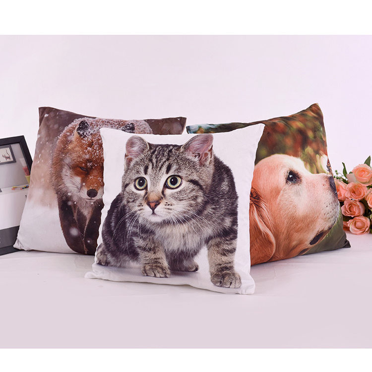 Micromink Cute Custom Digital Printed Decorative Sofa Cushion