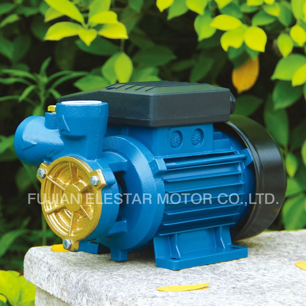 0.5HP Water Supply Vortex Water Pump-DB Series