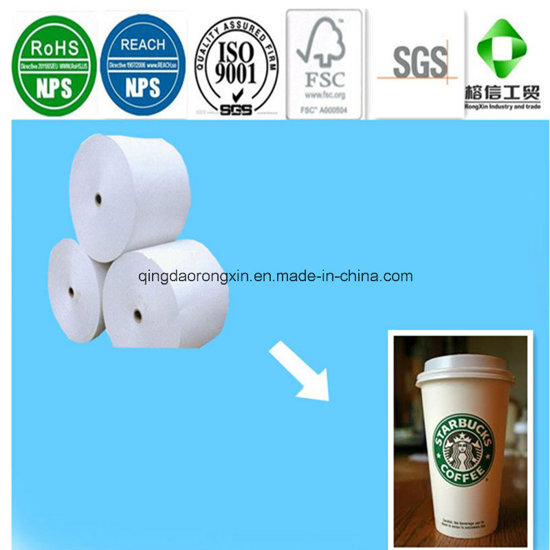 Double Side PE Coated Paper in Roll or in Sheet for Cups