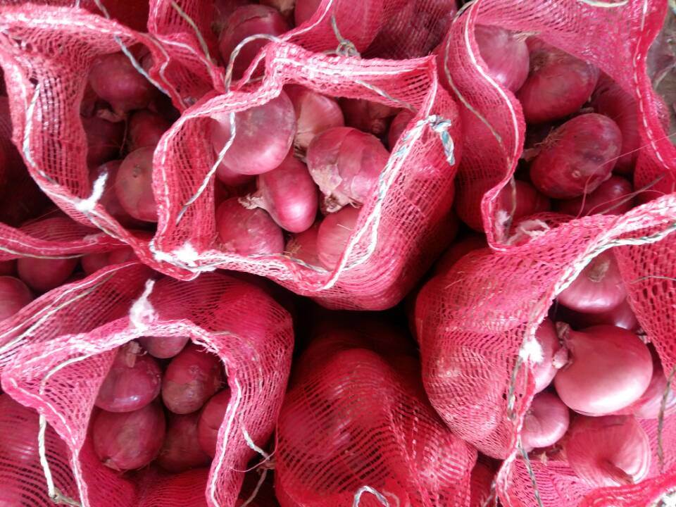 New Crop Chinese Fresh Red Onion for Sale