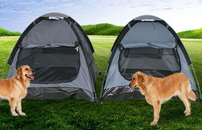 Cartoon Pet Tent Outside