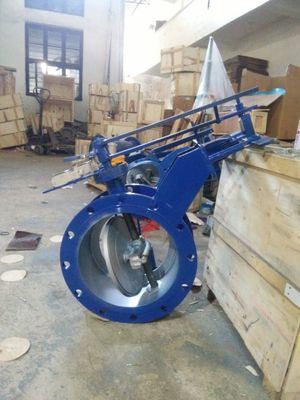Double Flanged Wafer and Lug Type Gear Operated Butterfly Valve