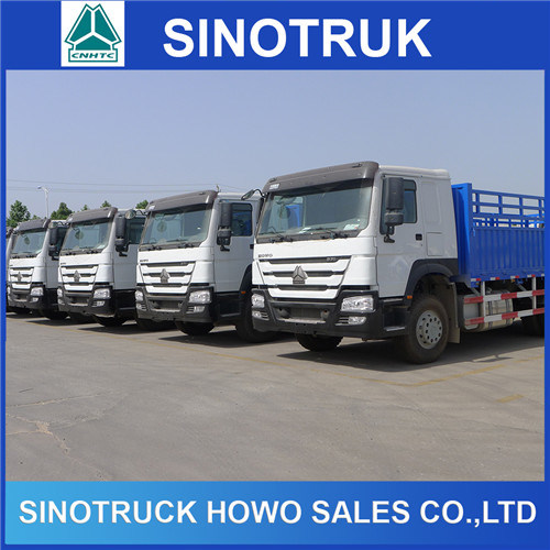 Heavy Duty 10 Wheels HOWO 6X4 Cargo Truck for Sale