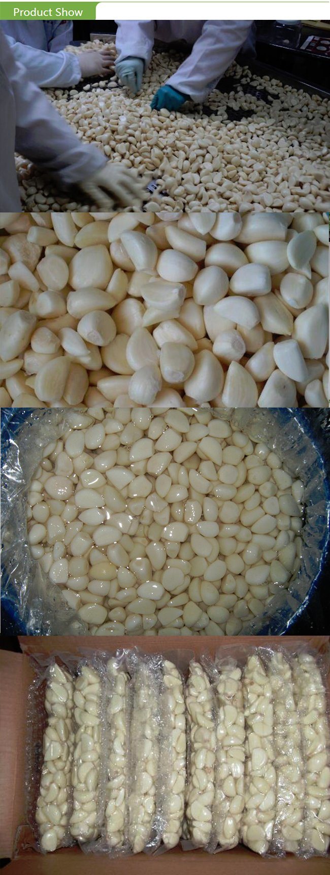 Canned Fresh Peeled Garlic Cloves with High Quality