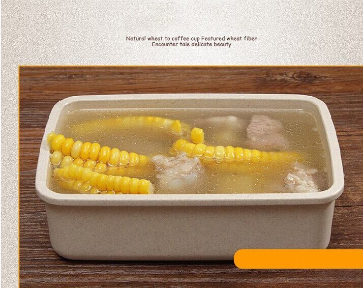 Eco-Friendly Biodegradable Multi Function Bento Wheat Fiber Lunch Box