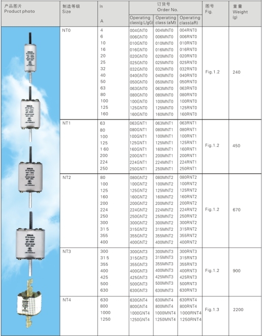 Low Voltage Fuse