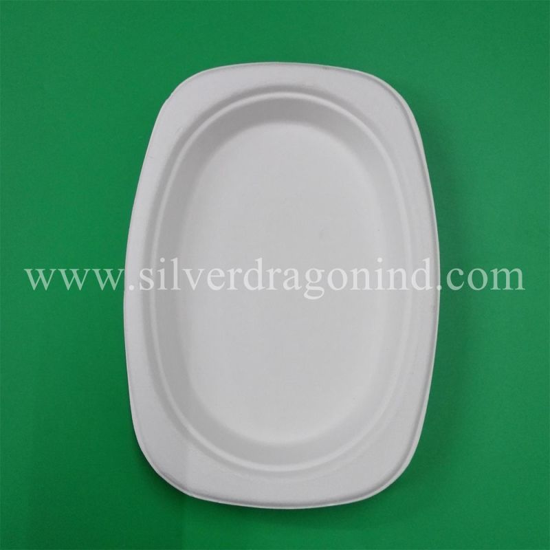 Food Grade Biodegradable Sugarcane Pulp Paper Disposable Plate