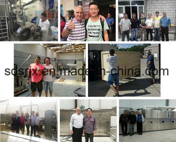 Twin-Screw Extruded Aquatic Floating Fish Feed Pellet Manufacture Extruder