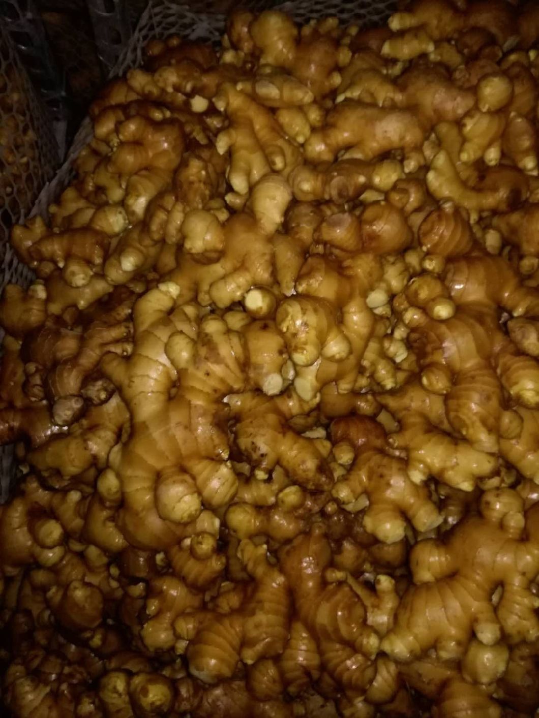 Chinese No Pesticide Fresh Organic Ginger