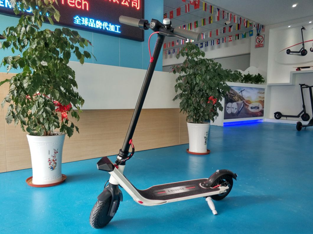 2 Wheel Folding Electric Scooter with Samsung Battery