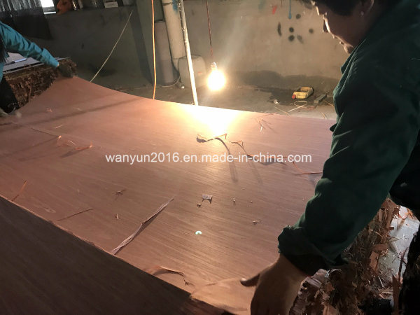 Decorative Teak/Walnut/Rosewood Veneer Plywood for Wooden Furniture