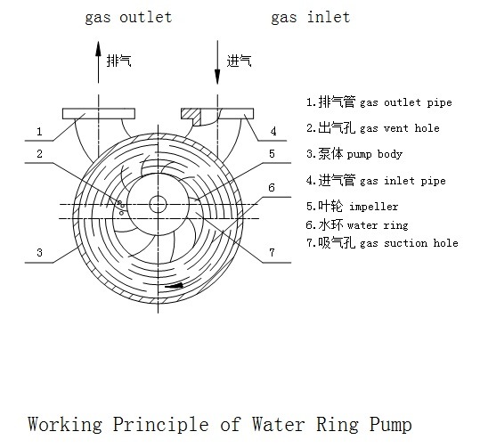 7.5kw Two Stage Water Ring Vacuum Pump