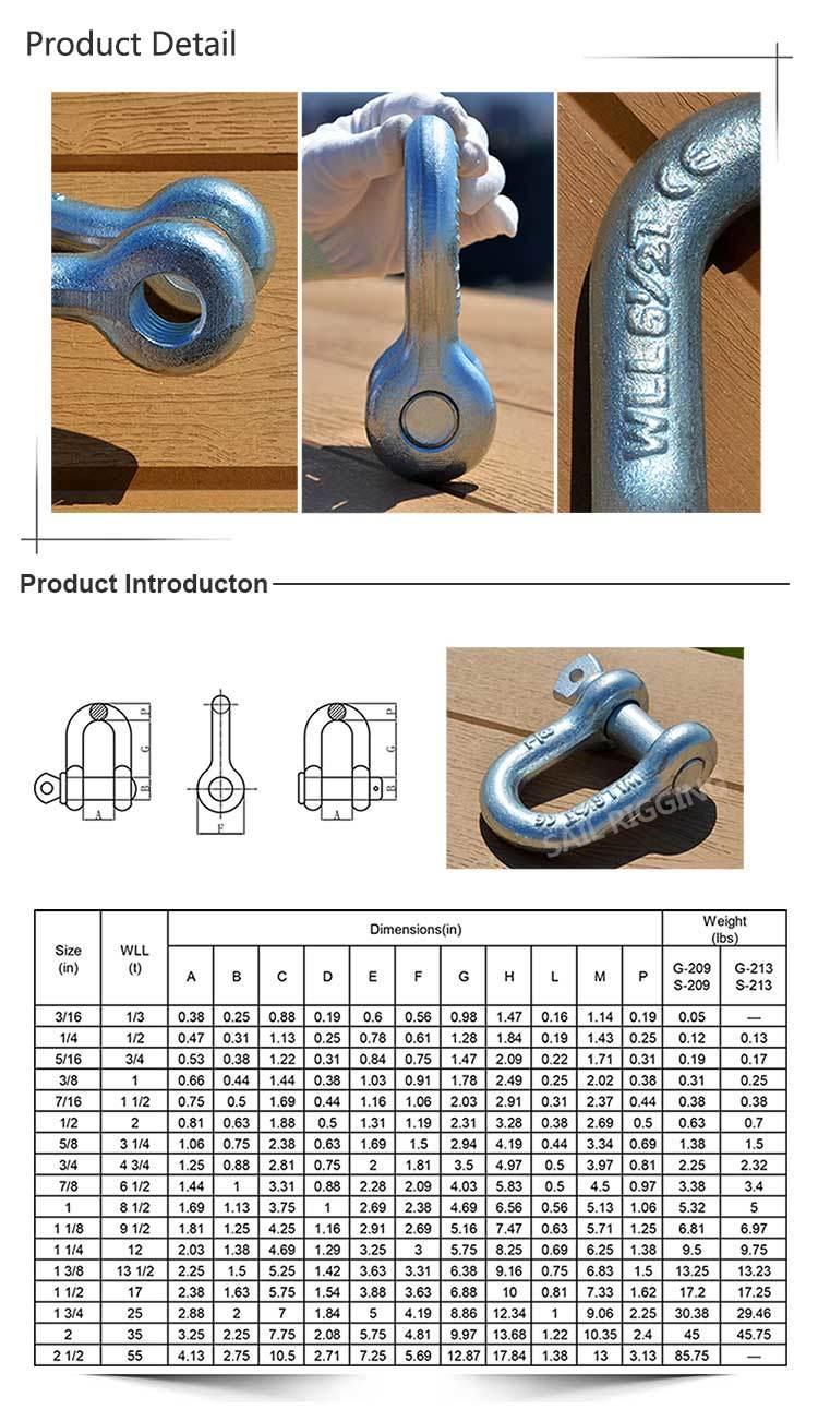 Us Type Steel Galvanized G210 Dee Shackle with Screw Pin