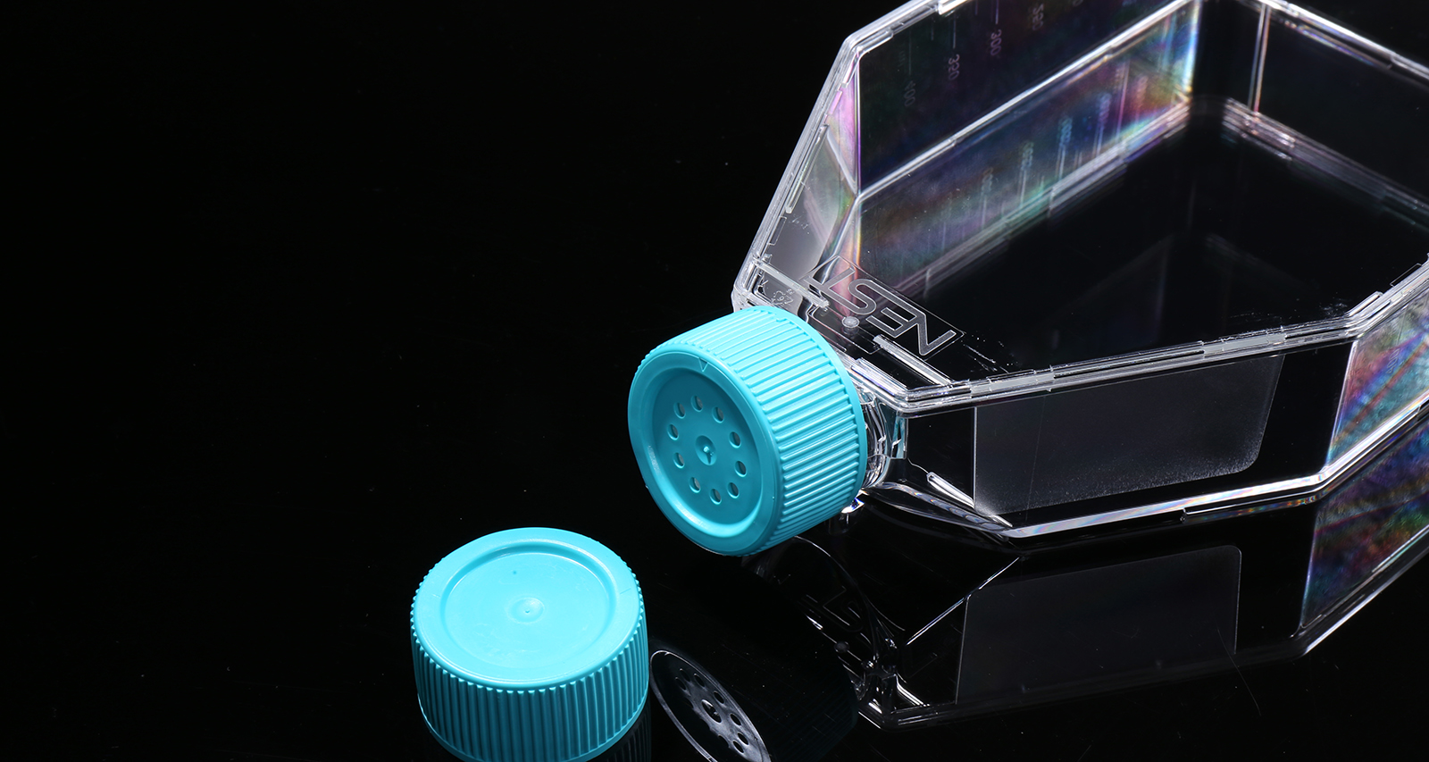 Cell Culture Flasks Cell Culture Flasks