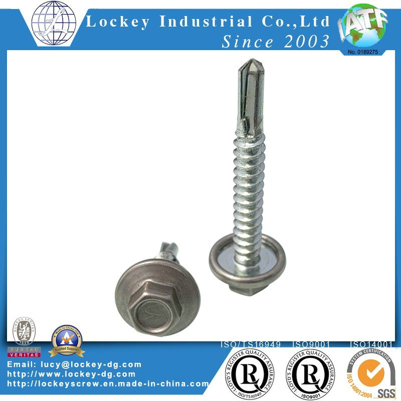 Stainless Steel 316 Hex Washer Head Self Drilling Screw