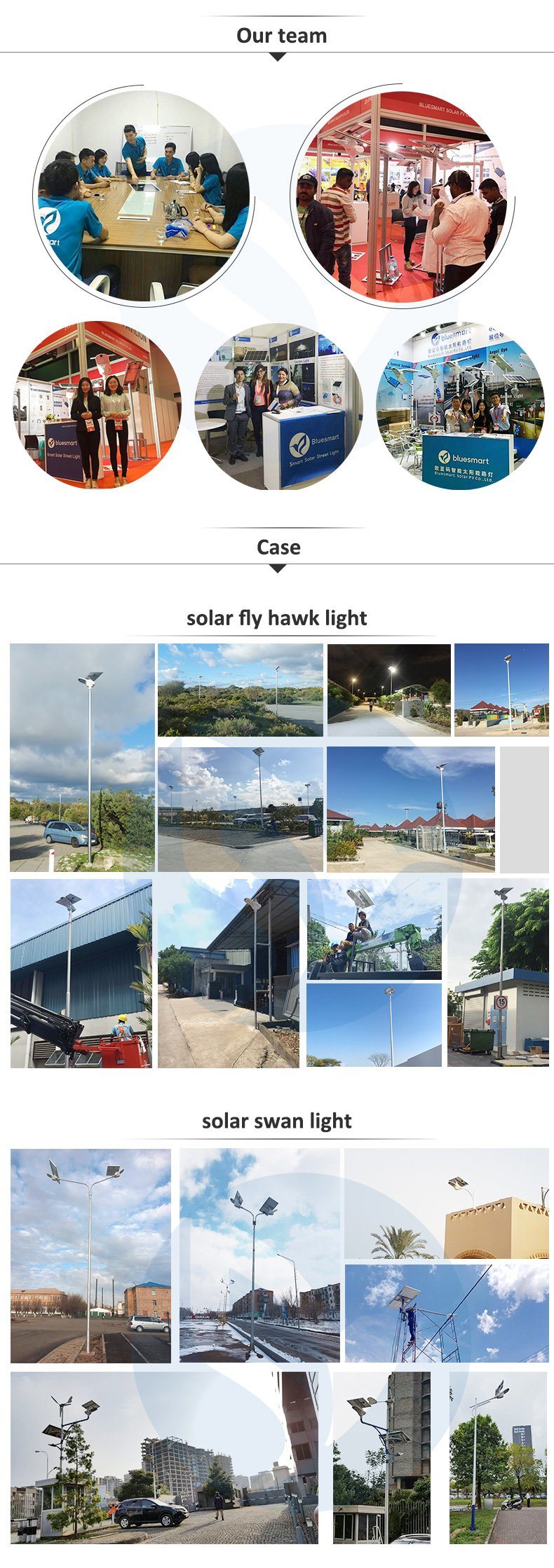 Bluesmart 60W LED Intelligent Solar Street Lighting System