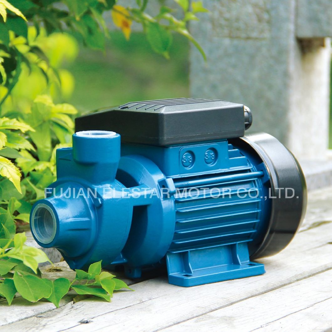 220V Idb Vortex Silent Home Use Electric Clean Water Pump