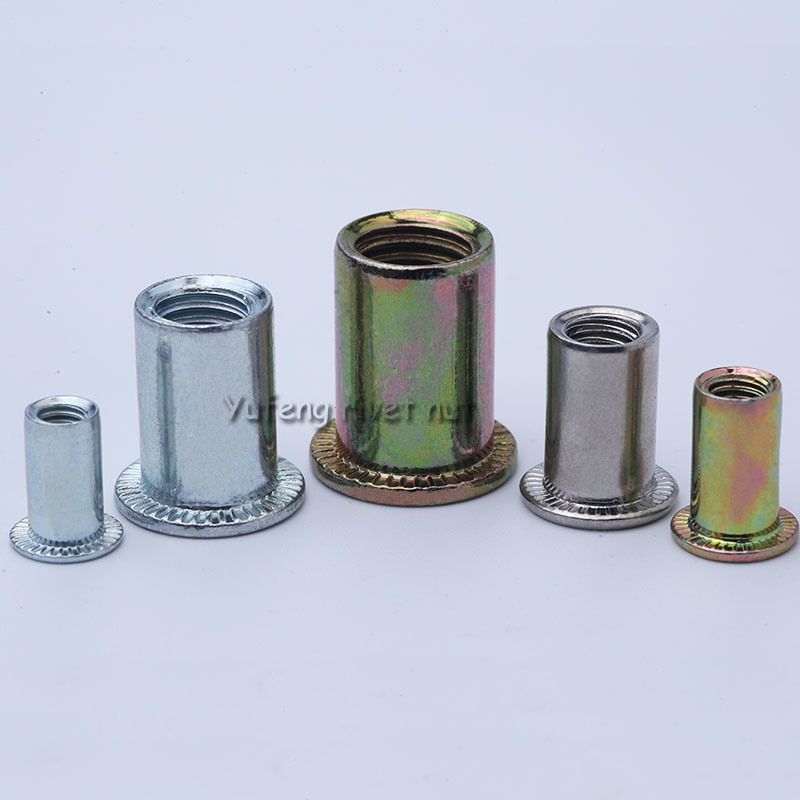 Carbon Steel /Stainless Steel Flat Head Knurled/Round Body Rivet Nut