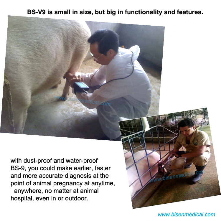 BS-V9 Animal Vet Ultrasound Machine System Ultrasound Scanner for Horse and Other Animals