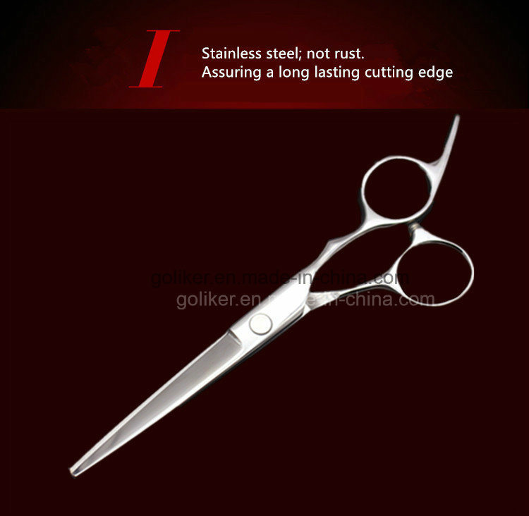 Hot Sale Professional Hair Cutting Scissors