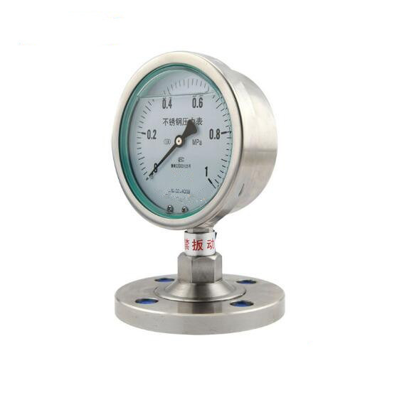 Full Stainless Steel Vibration-Resistant Pressure Gauge with High Quality