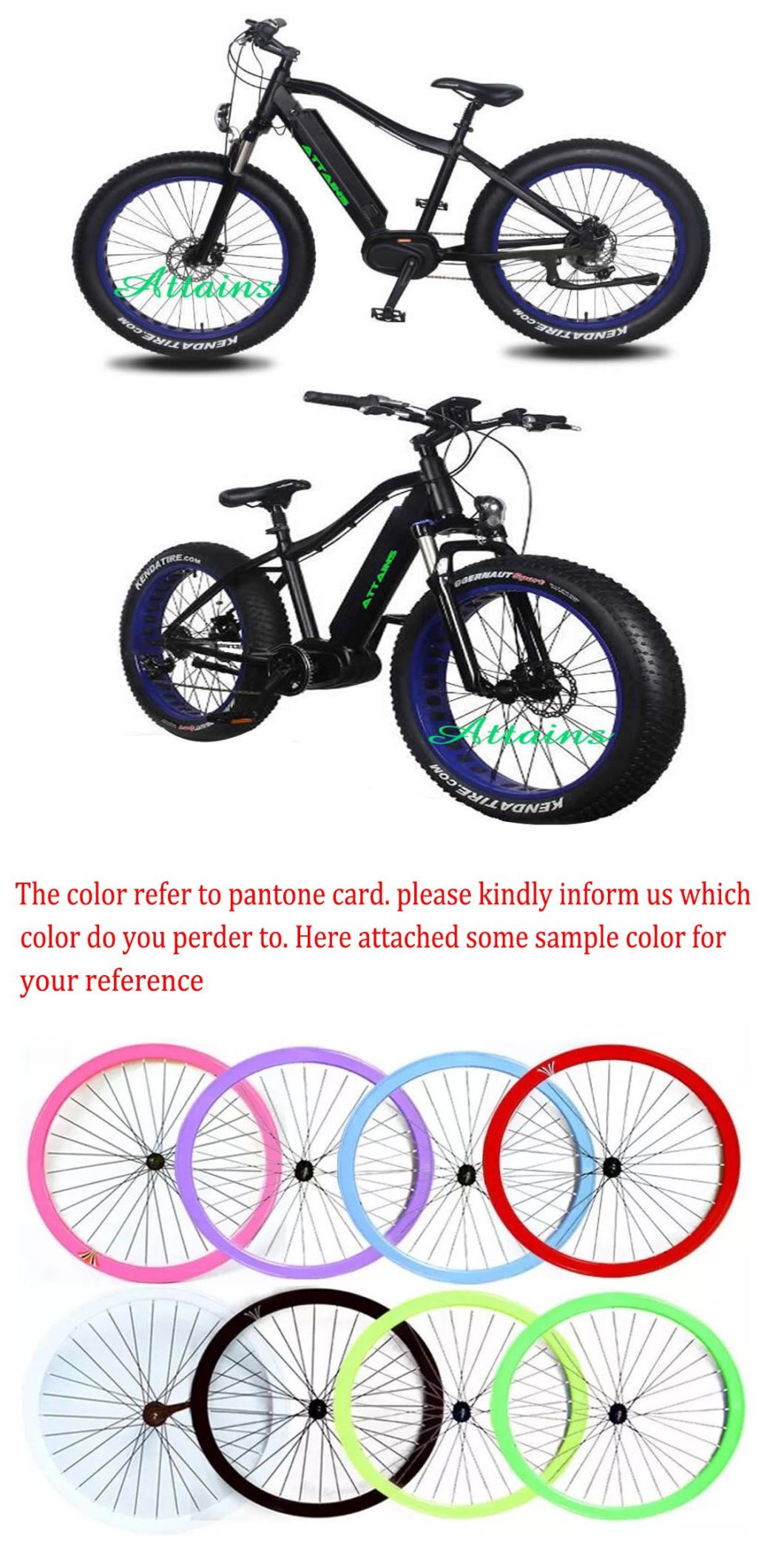 26'' Alloy Cheap Fat Tire Snow Beach Mountain Electric Bike/Bycicles with Best Quality