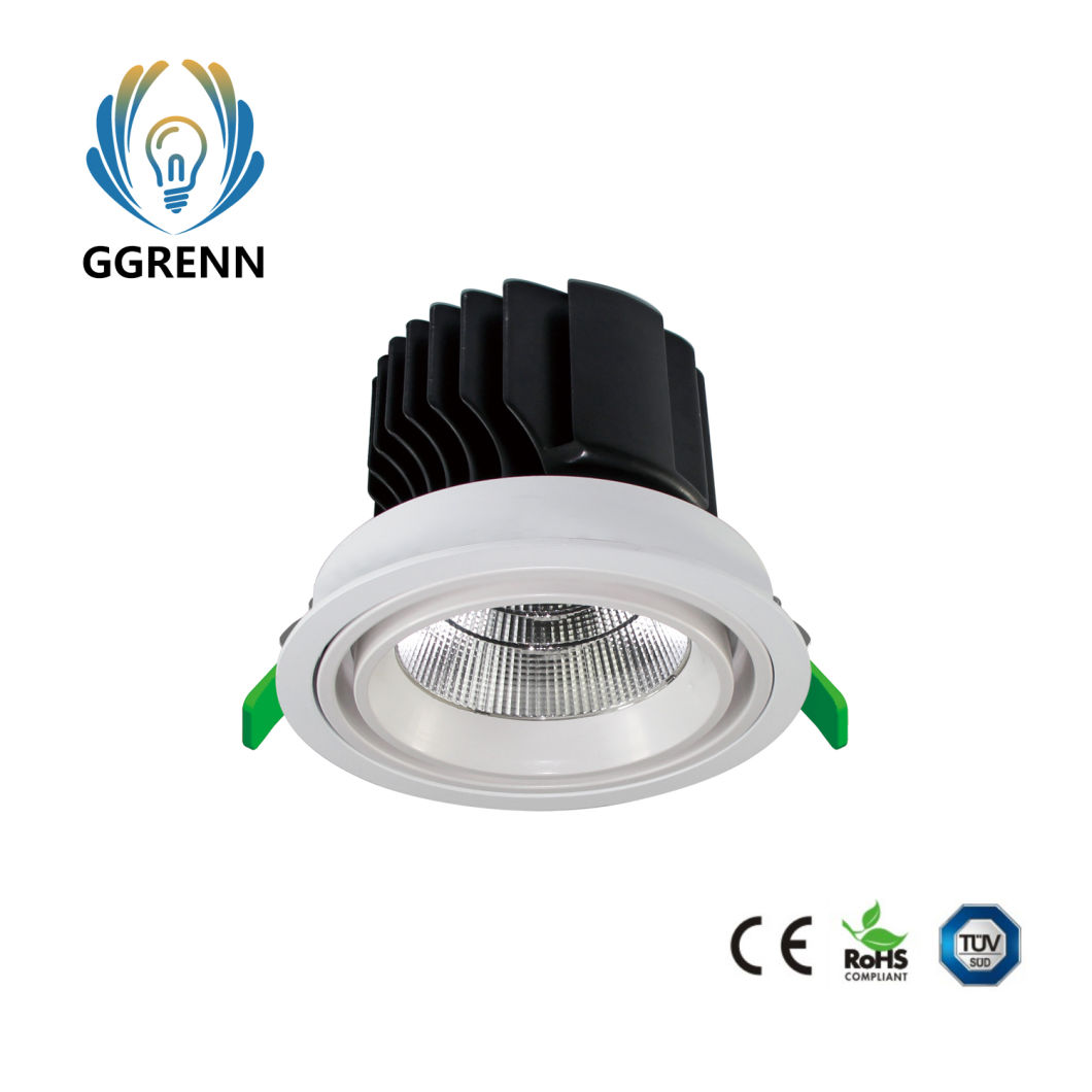 TUV Ce RoHS 38W/42W LED Down Light with CREE COB