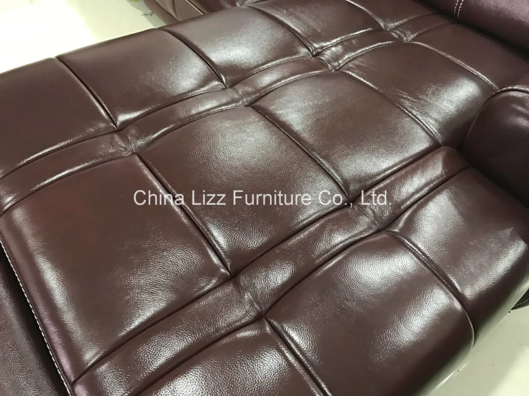 Living Room Home Leather Sofa