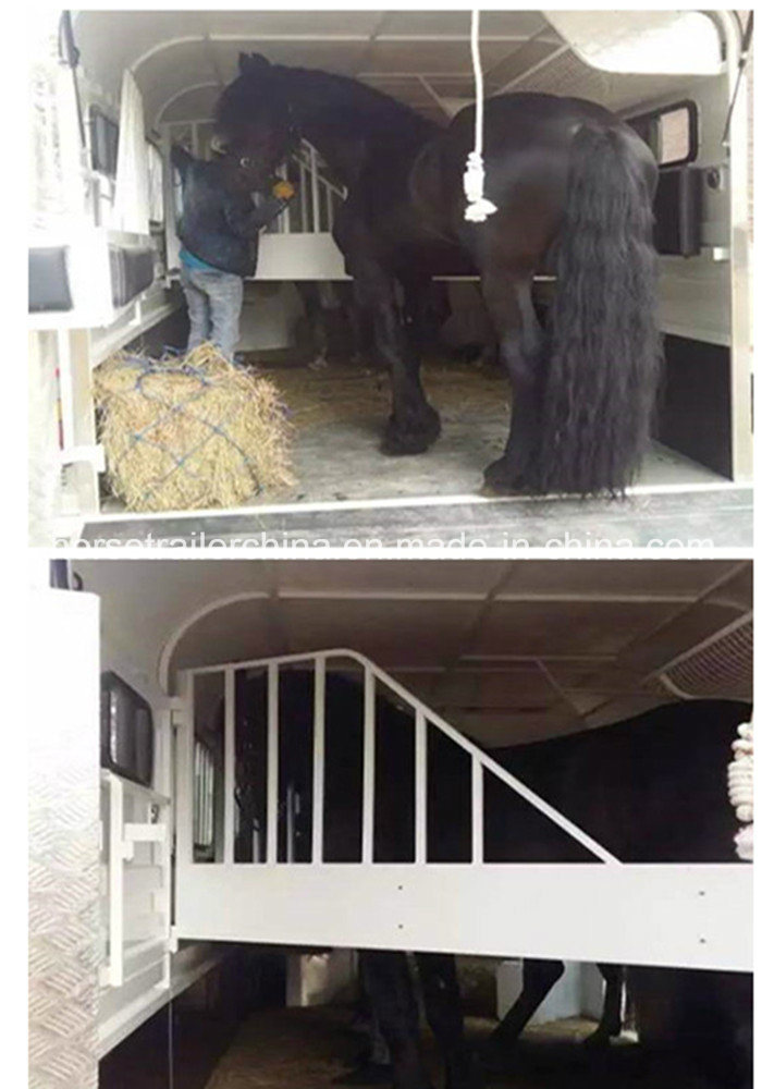 Hot Selling in Newzealand Angle Horse Trailers/Horse Floats