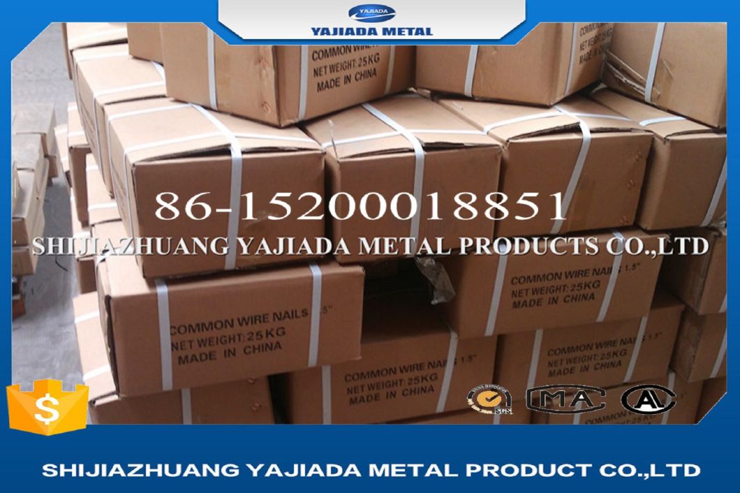 China Factory 5kg Polished Common Wire Nails