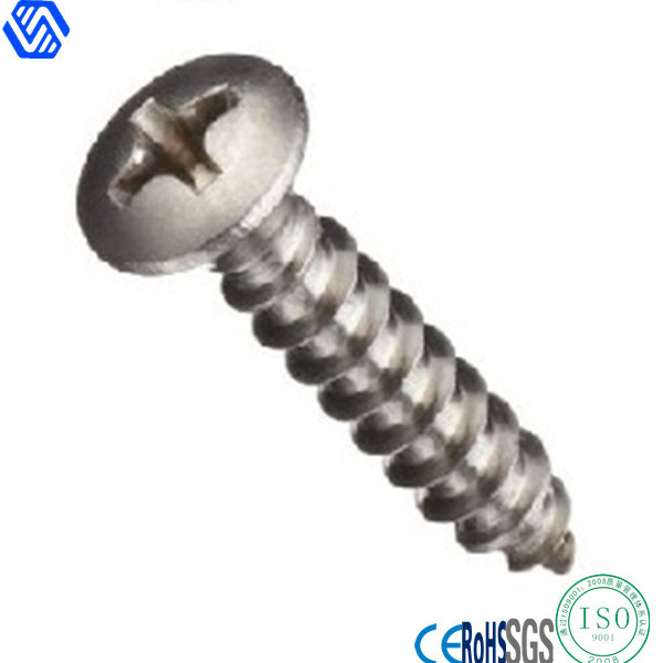 Stainless Steel Cup Head Phillips Head Screws