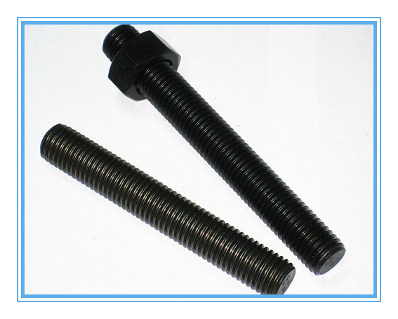 Stainless Steel Full Threaded Bolt/Thread Rod with Nuts