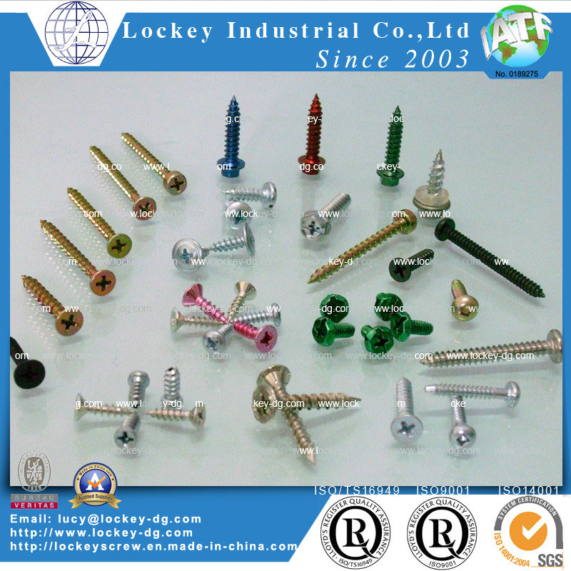 Self Tapping Screw Self Drilling Screw Deck Screw Roof Screw