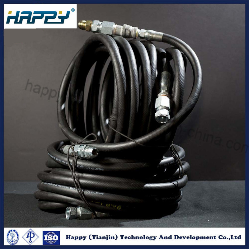 LPG Hose/Gas Hose/Rubber Hose/Liquefied Petroleum Gas