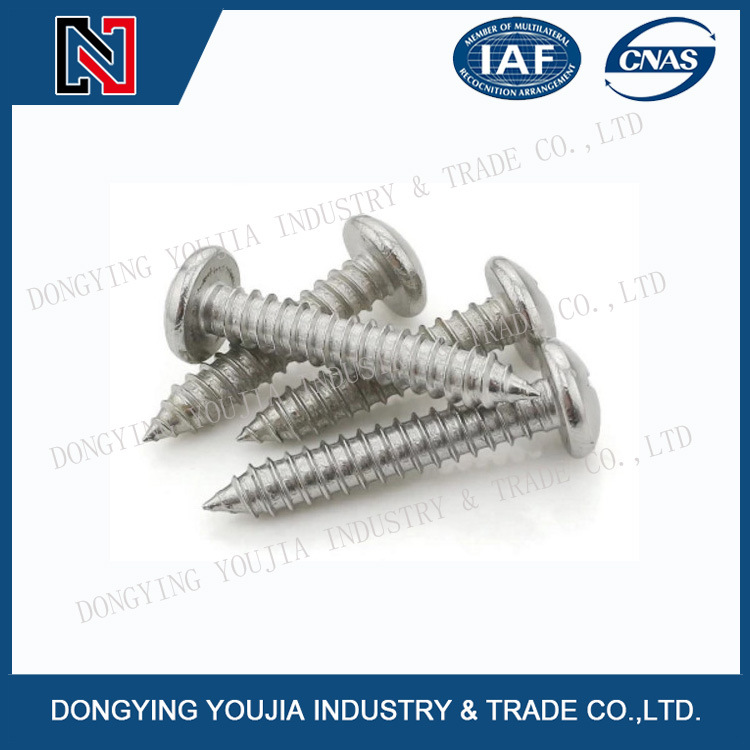 ISO7049 Stainless Steel Cross Recessed Pan Head Tapping Screw