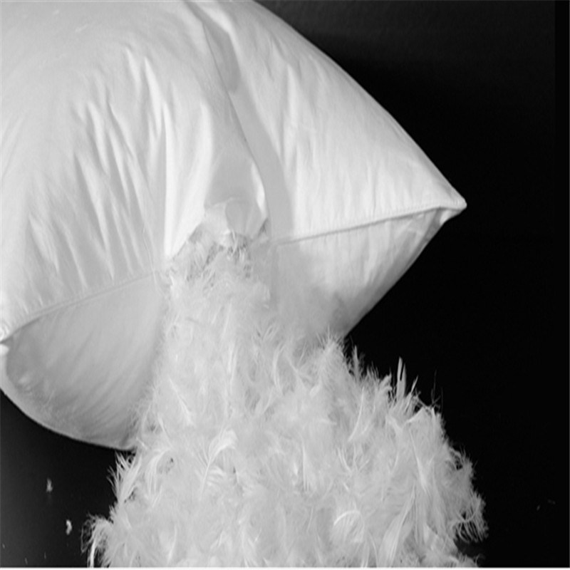 Wholesale Feather Duck Down Pillow Inserts/Decorative Pillows/Down Filled Cushion
