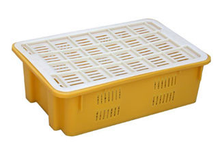 Y37 Reversible Stackable Fruits and Vegetables Plastic Crate with Lid