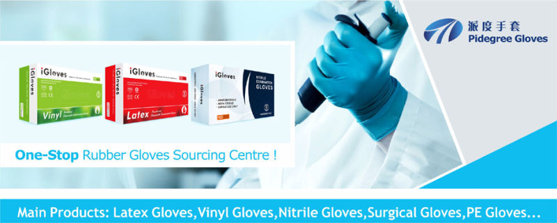 Medical Disposables Dental Gloves Examination